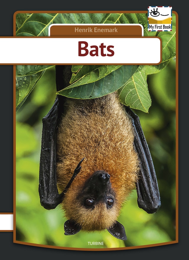 Book cover for Bats