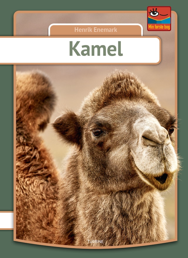 Buchcover für Kamel