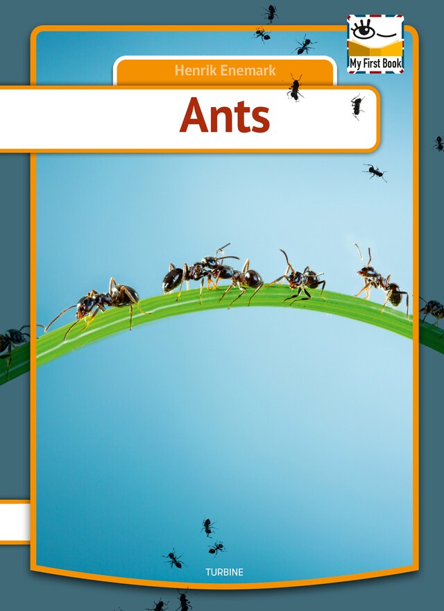 Copertina del libro per Ants