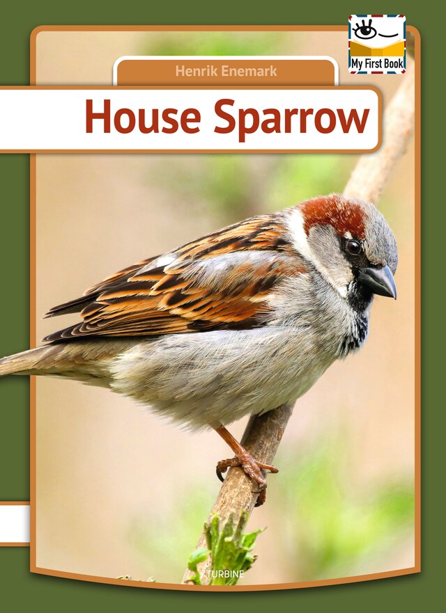 Book cover for House Sparrow