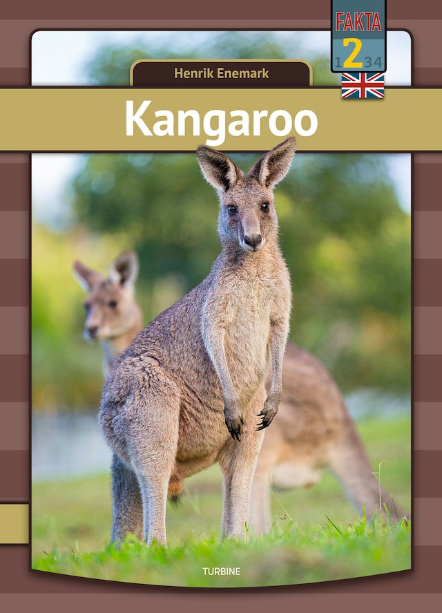 Book cover for Kangaroo
