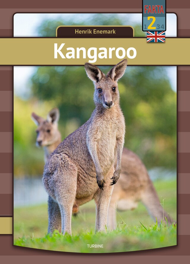 Copertina del libro per Kangaroo