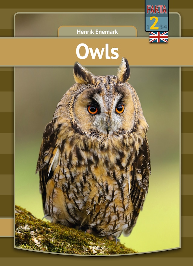 Book cover for Owls