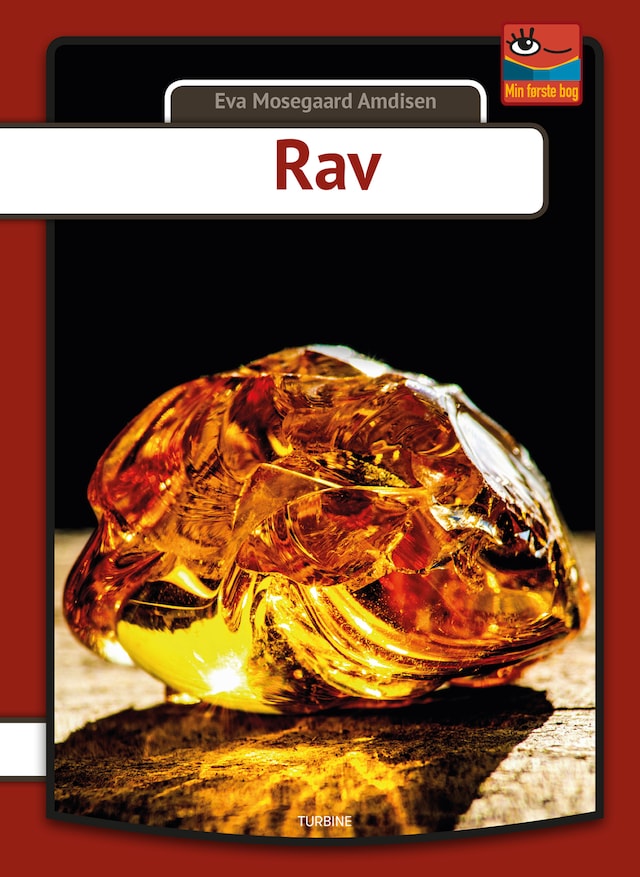 Copertina del libro per Rav