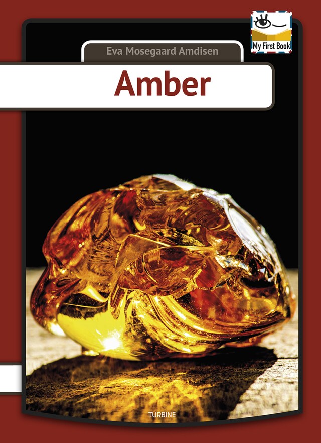 Okładka książki dla Amber