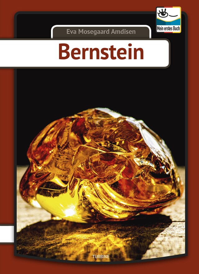 Kirjankansi teokselle Bernstein
