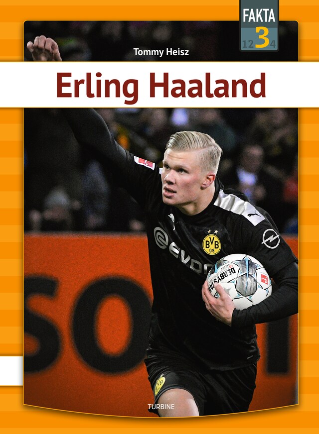 Book cover for Erling Haaland