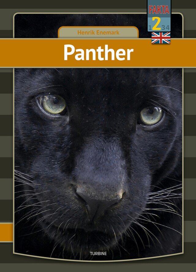 Book cover for Panther