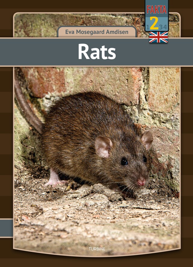 Couverture de livre pour Rats