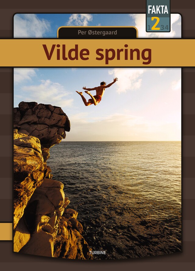 Book cover for Vilde spring