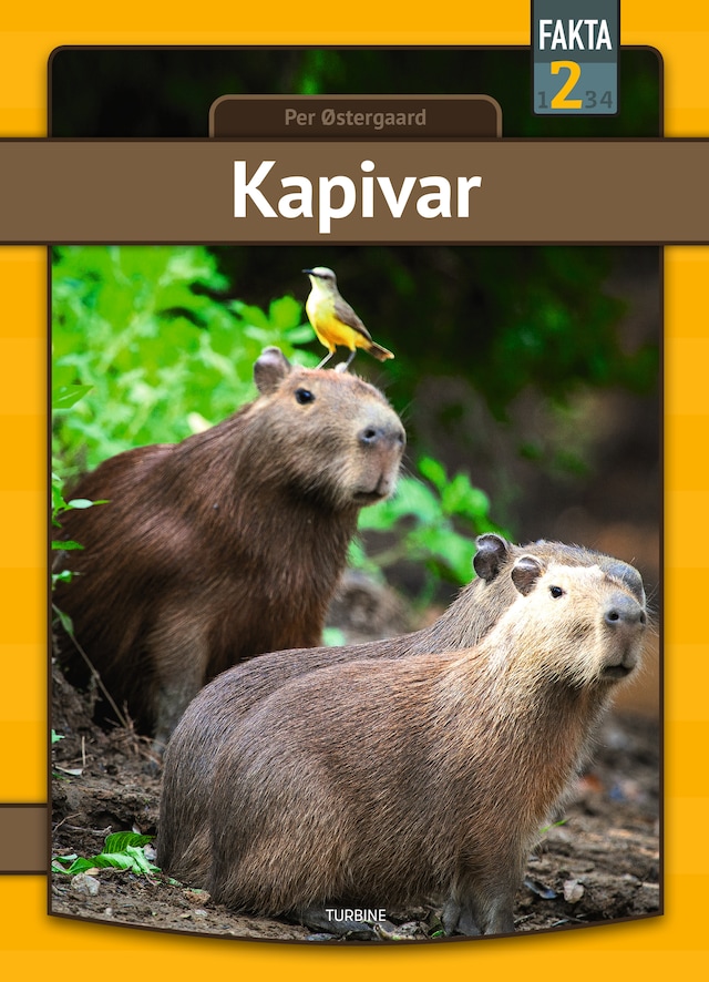 Couverture de livre pour Kapivar