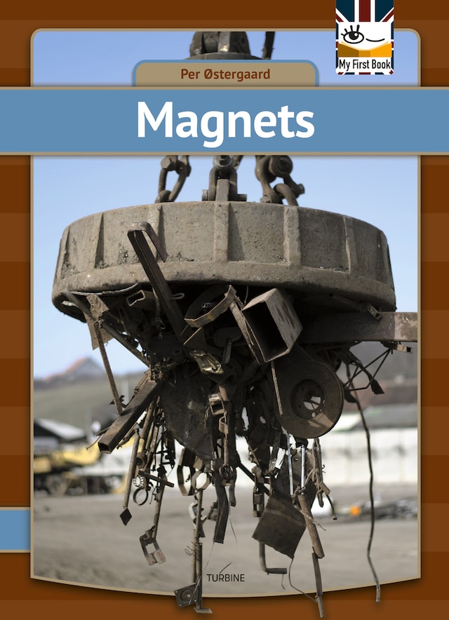 Book cover for Magnets