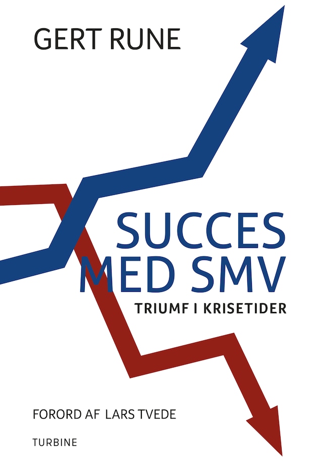 Book cover for Succes med SMV