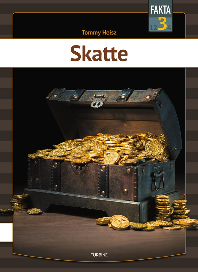 Book cover for Skatte