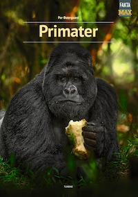 Primater