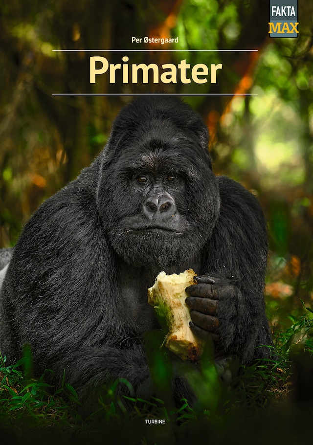 Book cover for Primater
