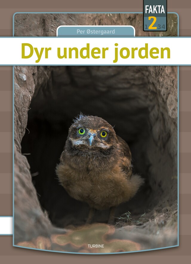 Bogomslag for Dyr under jorden