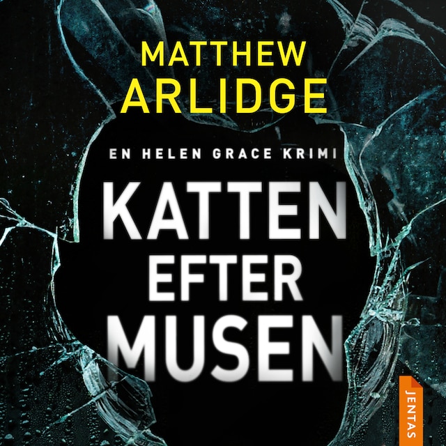Book cover for Katten efter musen