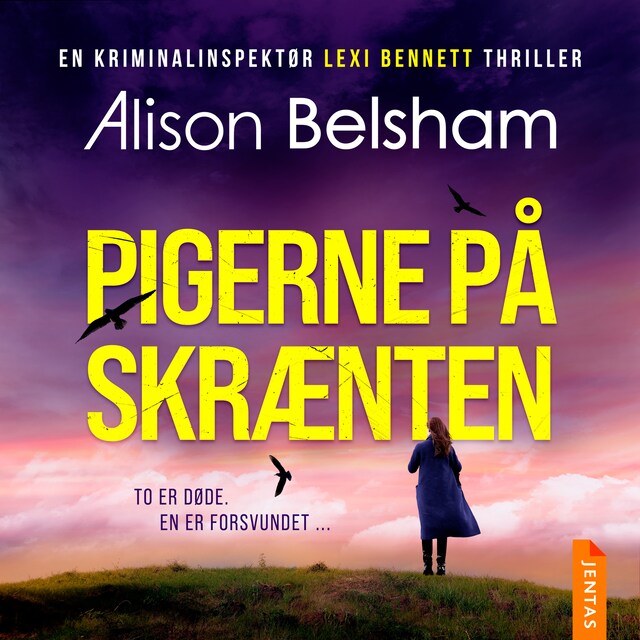 Buchcover für Pigerne på skrænten