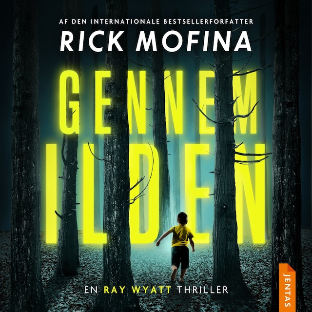 Book cover for Gennem ilden