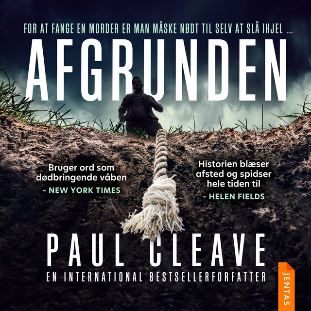 Book cover for Afgrunden