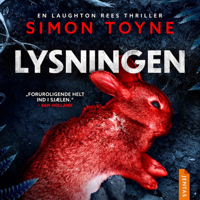 Book cover for Lysningen