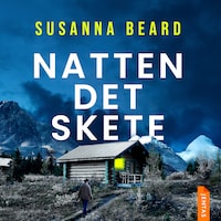 Natten det skete