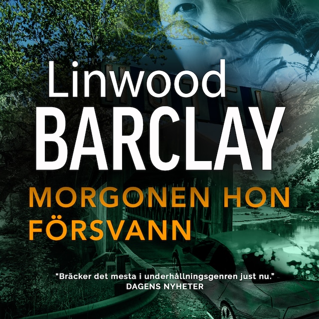 Book cover for Morgonen hon försvann