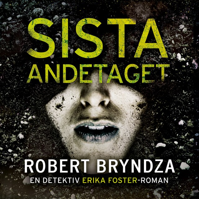Book cover for Sista andetaget
