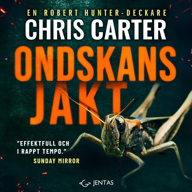 Portada de libro para Ondskans jakt