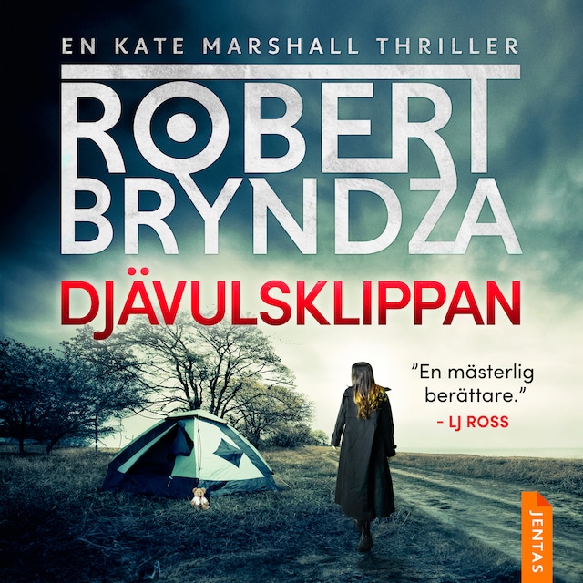 Buchcover für Djävulsklippan