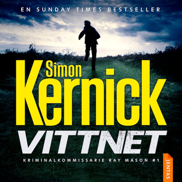 Book cover for Vittnet