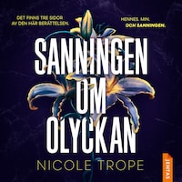Sanningen om olyckan