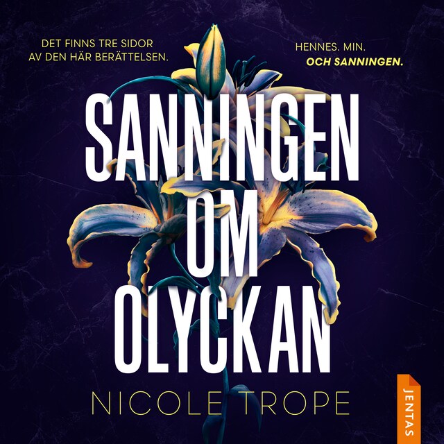 Bokomslag för Sanningen om olyckan