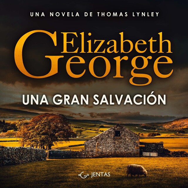 Book cover for Una gran salvación