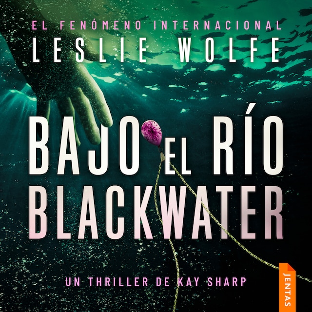 Book cover for Bajo el río Blackwater