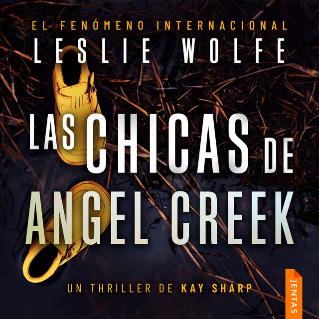 Book cover for Las chicas de Angel Creek
