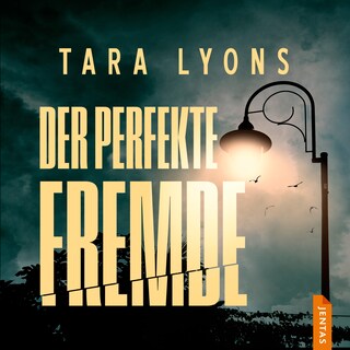 Der perfekte Fremde als Hörbuch
