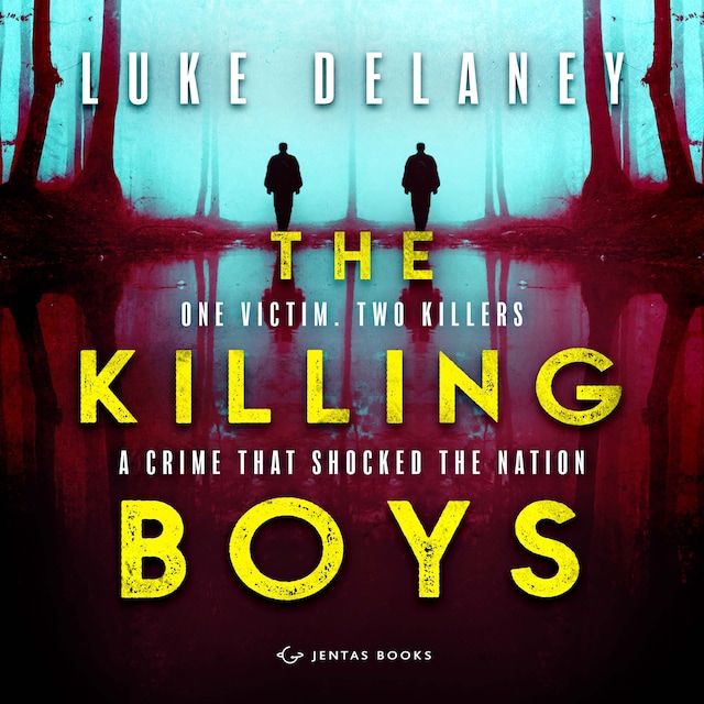 Book cover for The Killing Boys