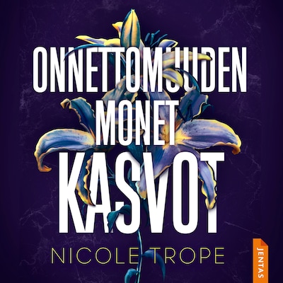Onnettomuuden monet kasvot