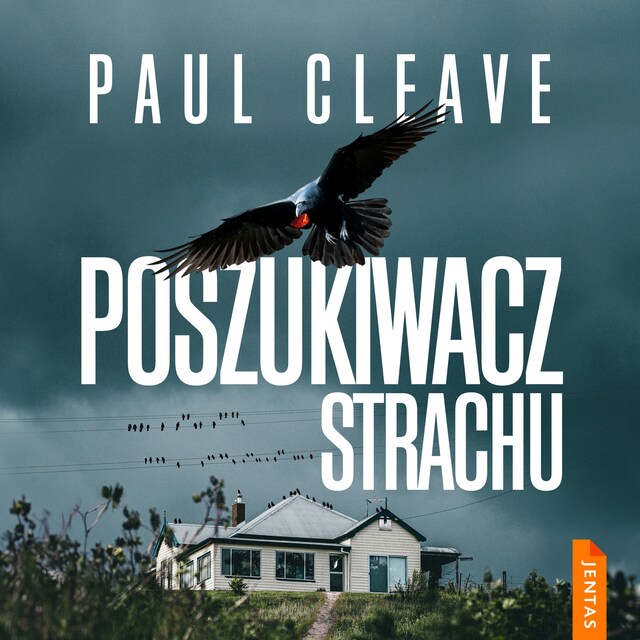 Book cover for Poszukiwacz strachu