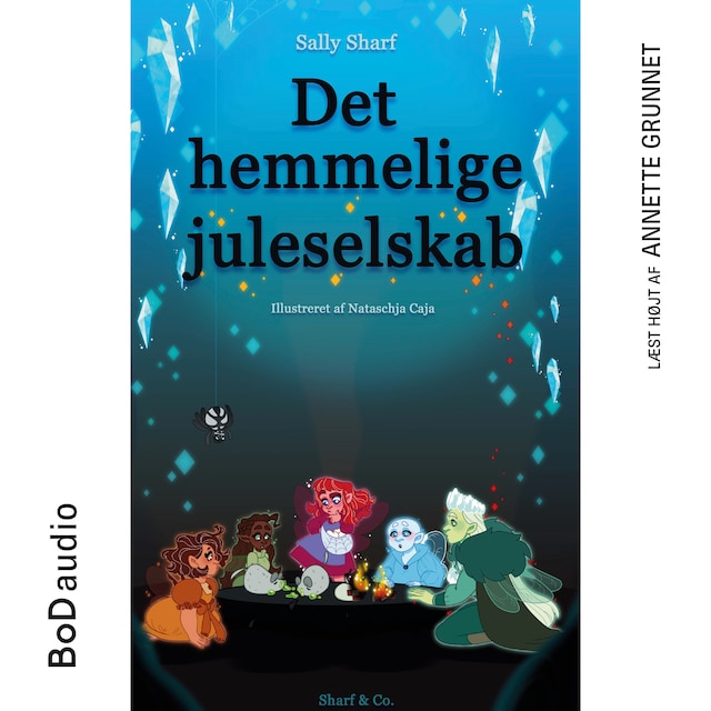 Okładka książki dla Det hemmelige juleselskab (uforkortet)