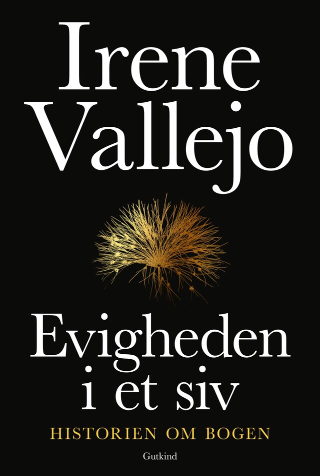 Book cover for Evigheden i et siv