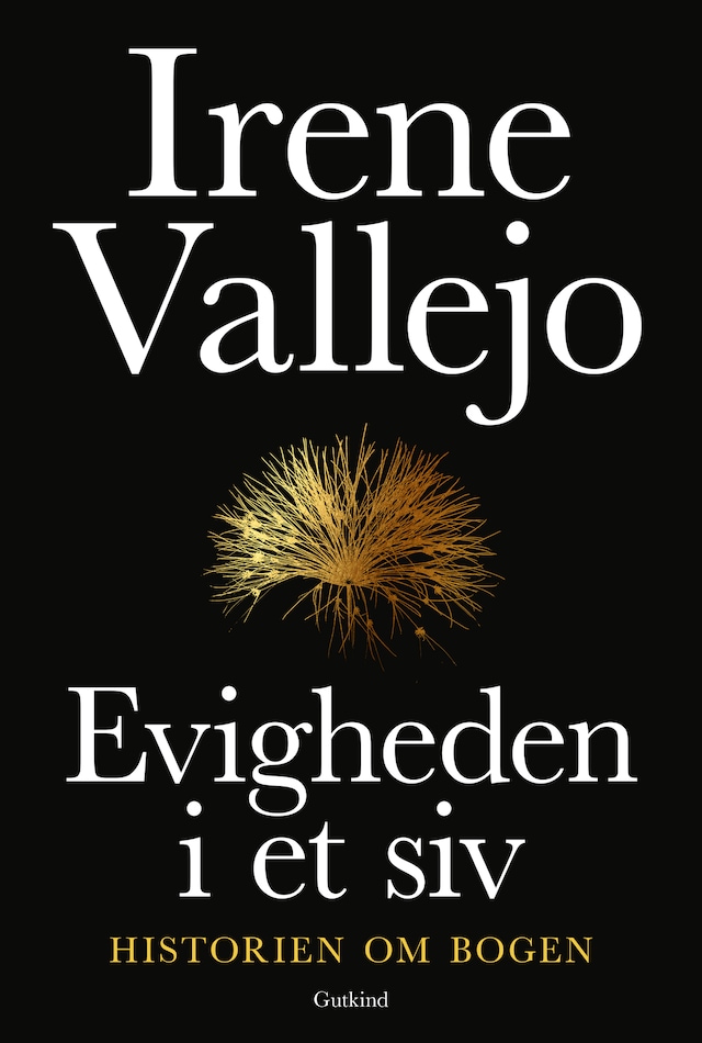 Evigheden i et siv Bokomslag for Evigheden i et siv