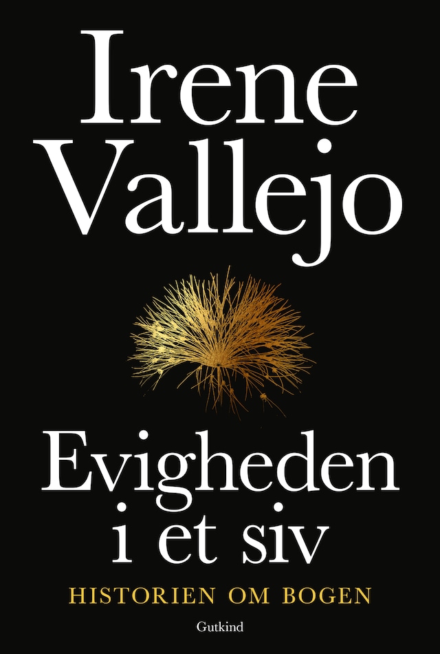 Portada de libro para Evigheden i et siv