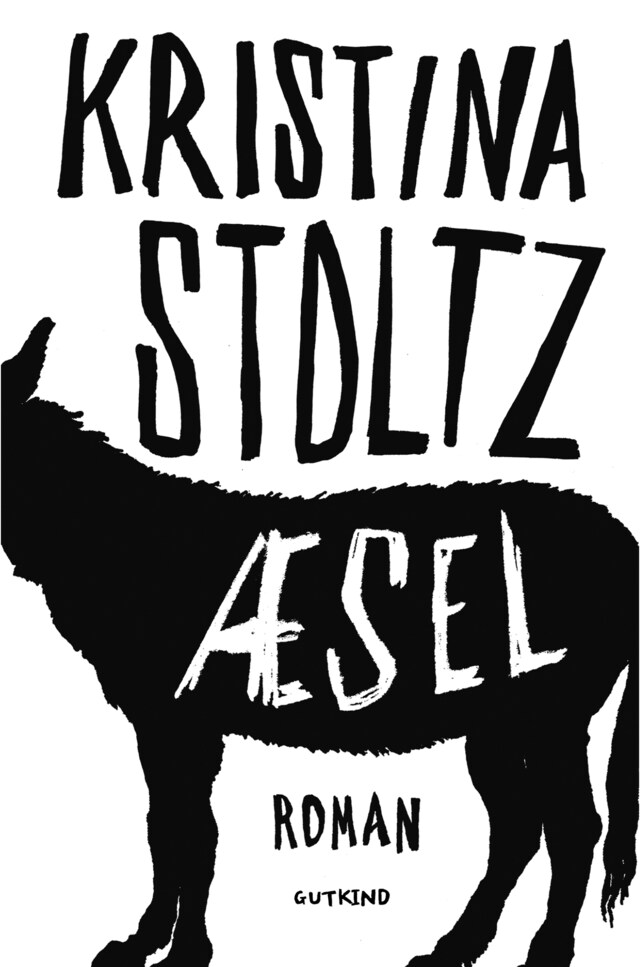 Book cover for Æsel