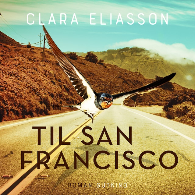 Book cover for Til San Francisco
