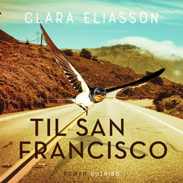 Bogomslag for Til San Francisco