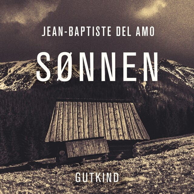 Book cover for Sønnen