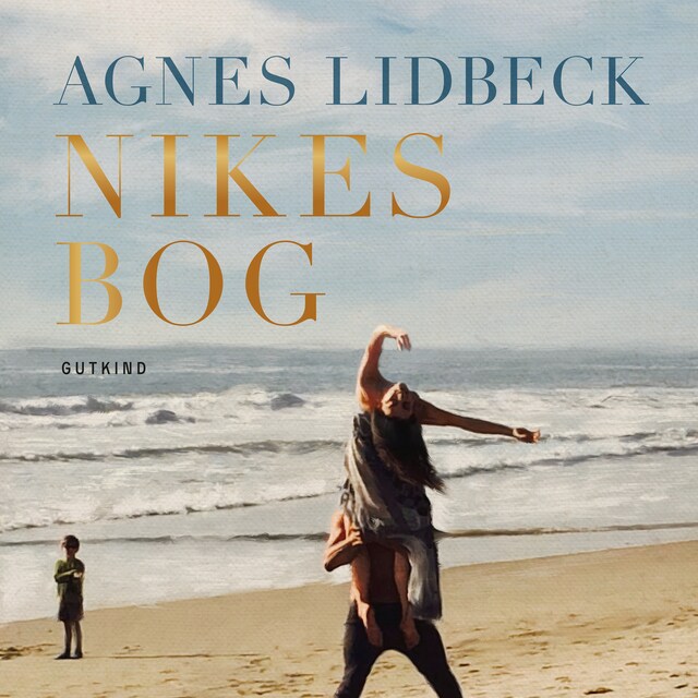 Book cover for Nikes bog
